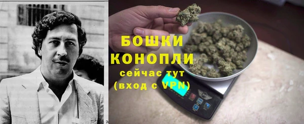гидра Богданович