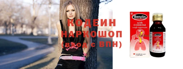 гидра Богданович