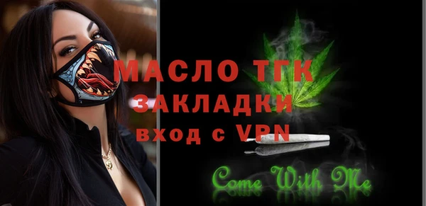гидра Богданович