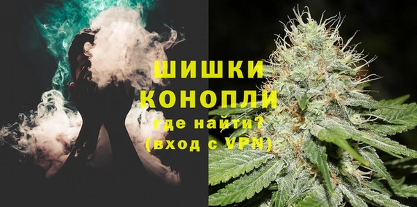 гидра Богданович