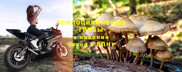 a pvp Богородицк