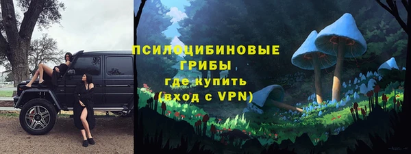 a pvp Богородицк