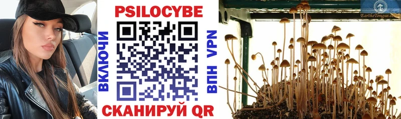 Галлюциногенные грибы Psilocybine cubensis  закладки  блэк спрут рабочий сайт  Назарово 